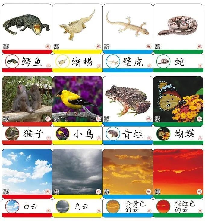 小班配对卡.jpg 图片